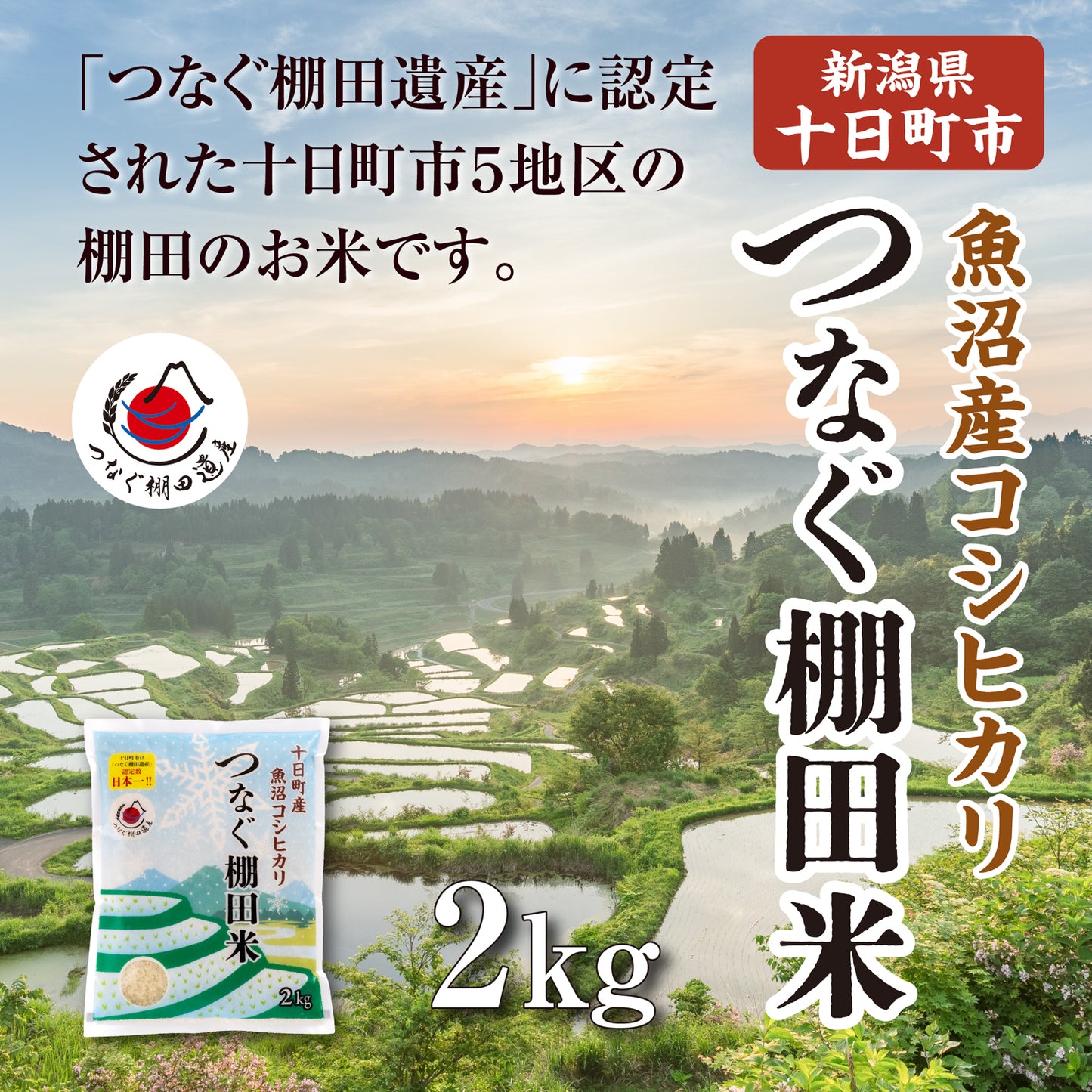 令和7年産つなぐ棚田米(白米)2kg|池谷・入山