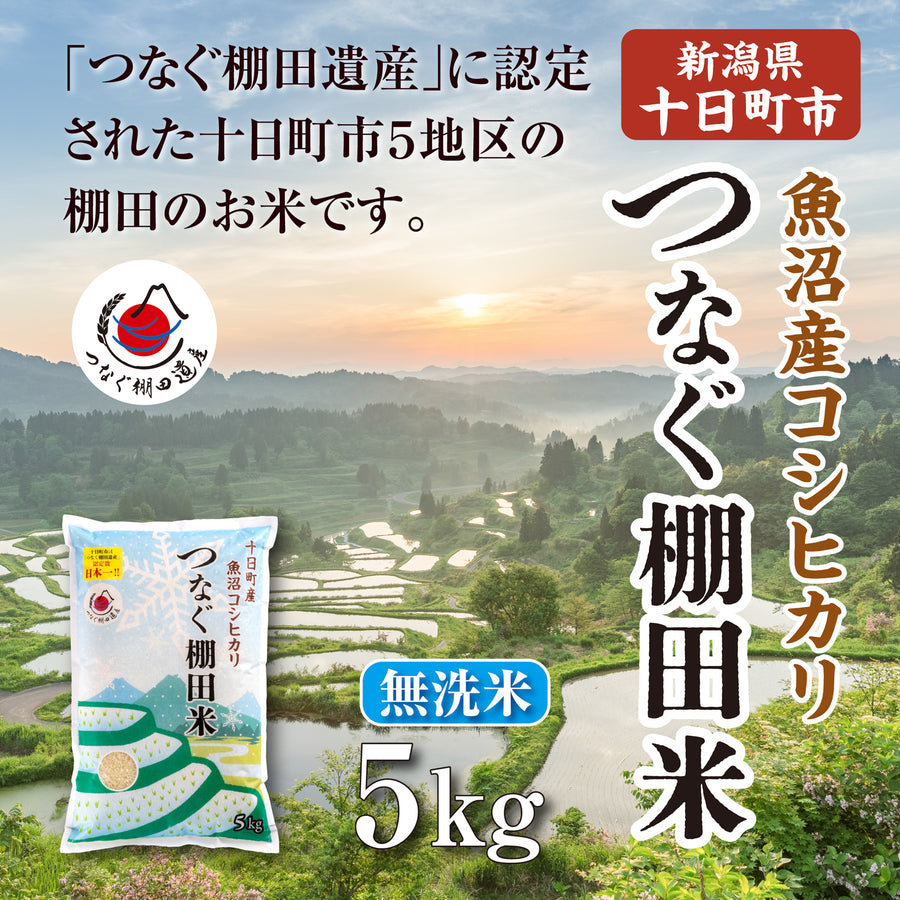 令和7年産つなぐ棚田米（無洗米）5kg｜池谷・入山