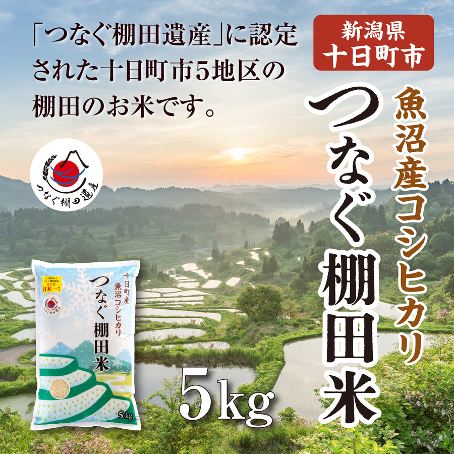 令和7年産つなぐ棚田米（白米）5kg｜池谷・入山